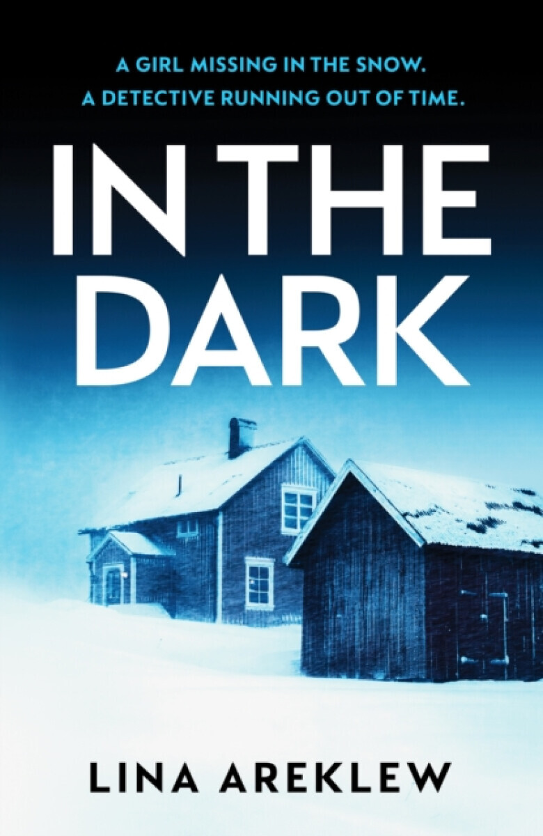 In the Dark - Lina Areklew