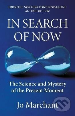 In Search of Now - -