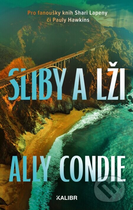 Sliby a lži - Ally Condie