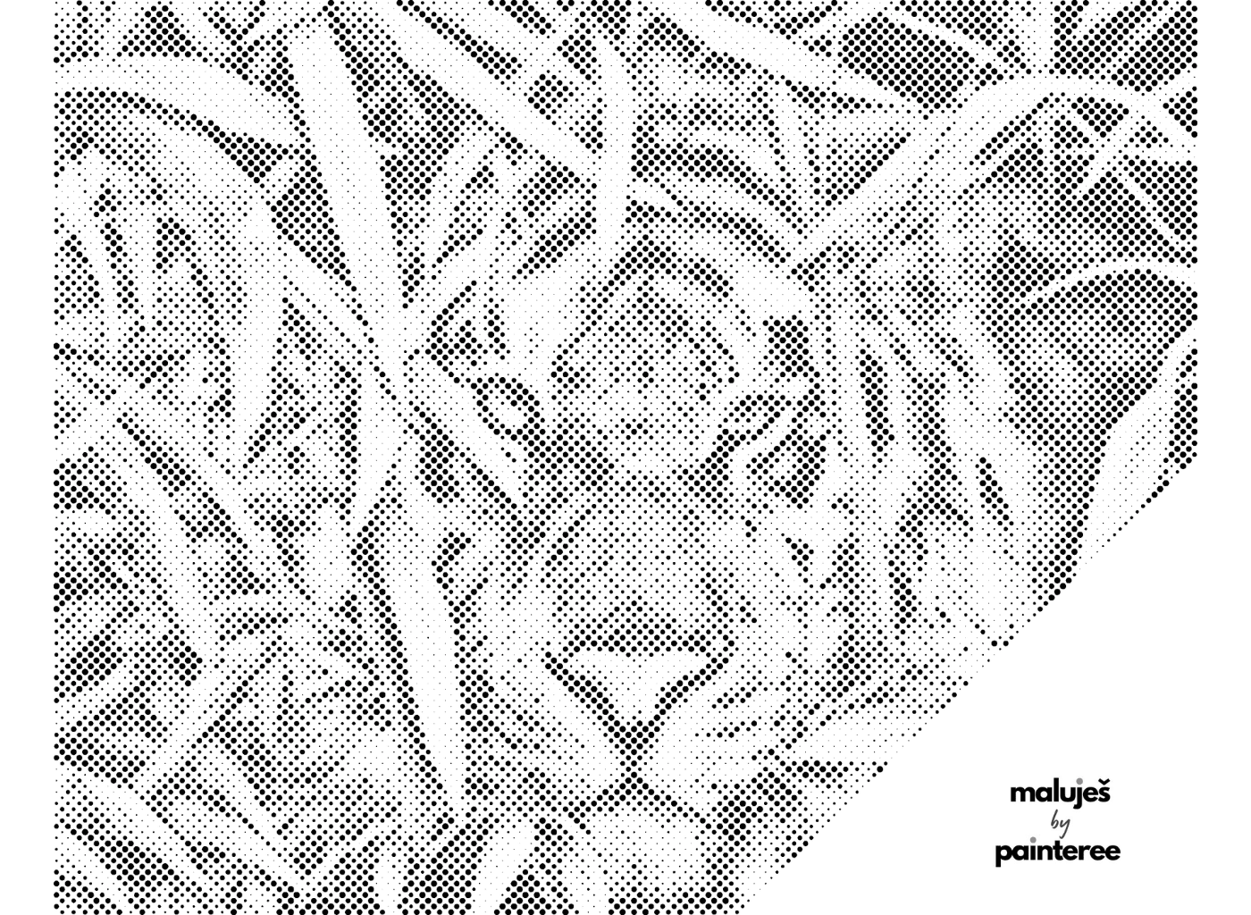 MALUJEŠ Tečkování - PREDÁTORŮV UPŘENÝ POHLED - SUSAN HOMER / IBD LICENSING UK Barva: Černá, Rozměr: 30 x 40 cm, Rámování: vypnuté plátno na rám