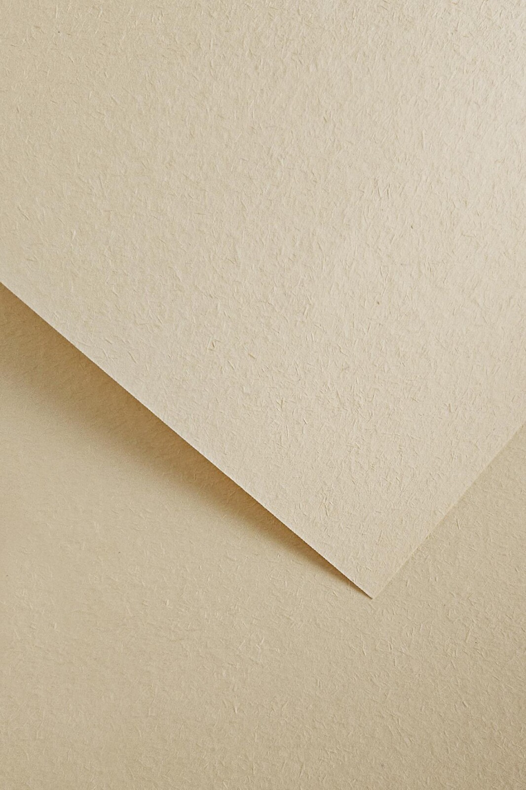 Galeria Papieru Designový papír A4 Wood - 220 g, světlá slonová kost, 20 ks