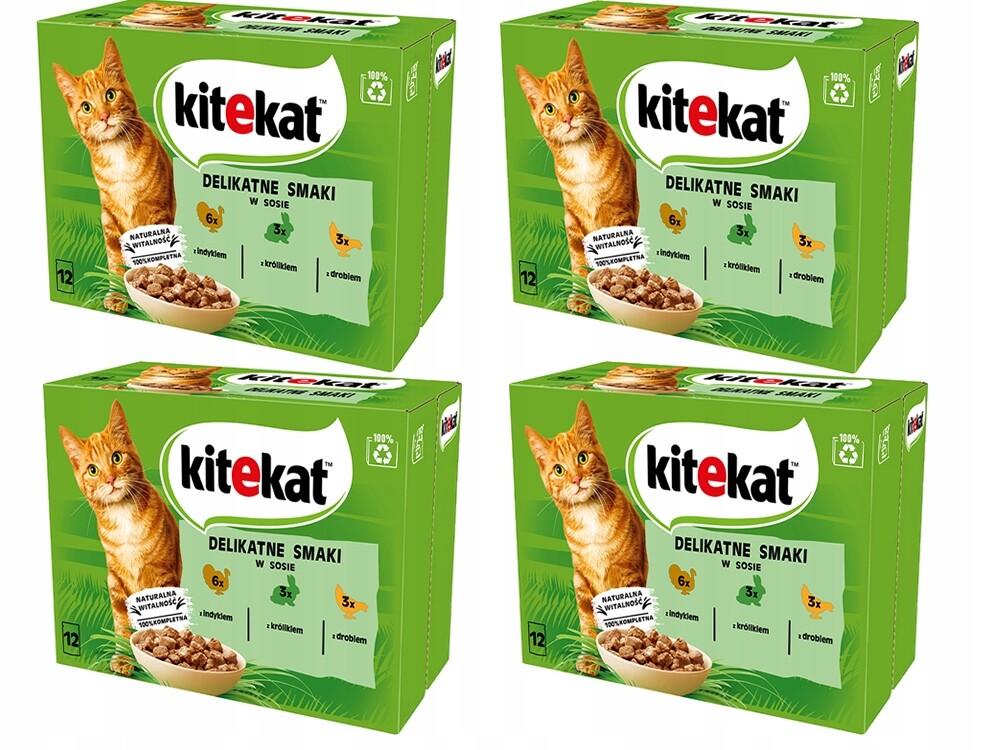 Kitekat Jemné Příchutě 48 x 85 g sáčky pro kočky