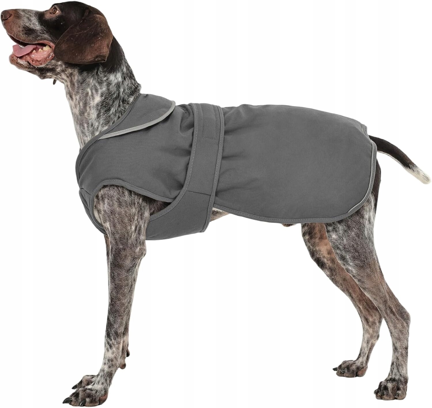 Vodotěsná bunda pro psa Kuoser XL