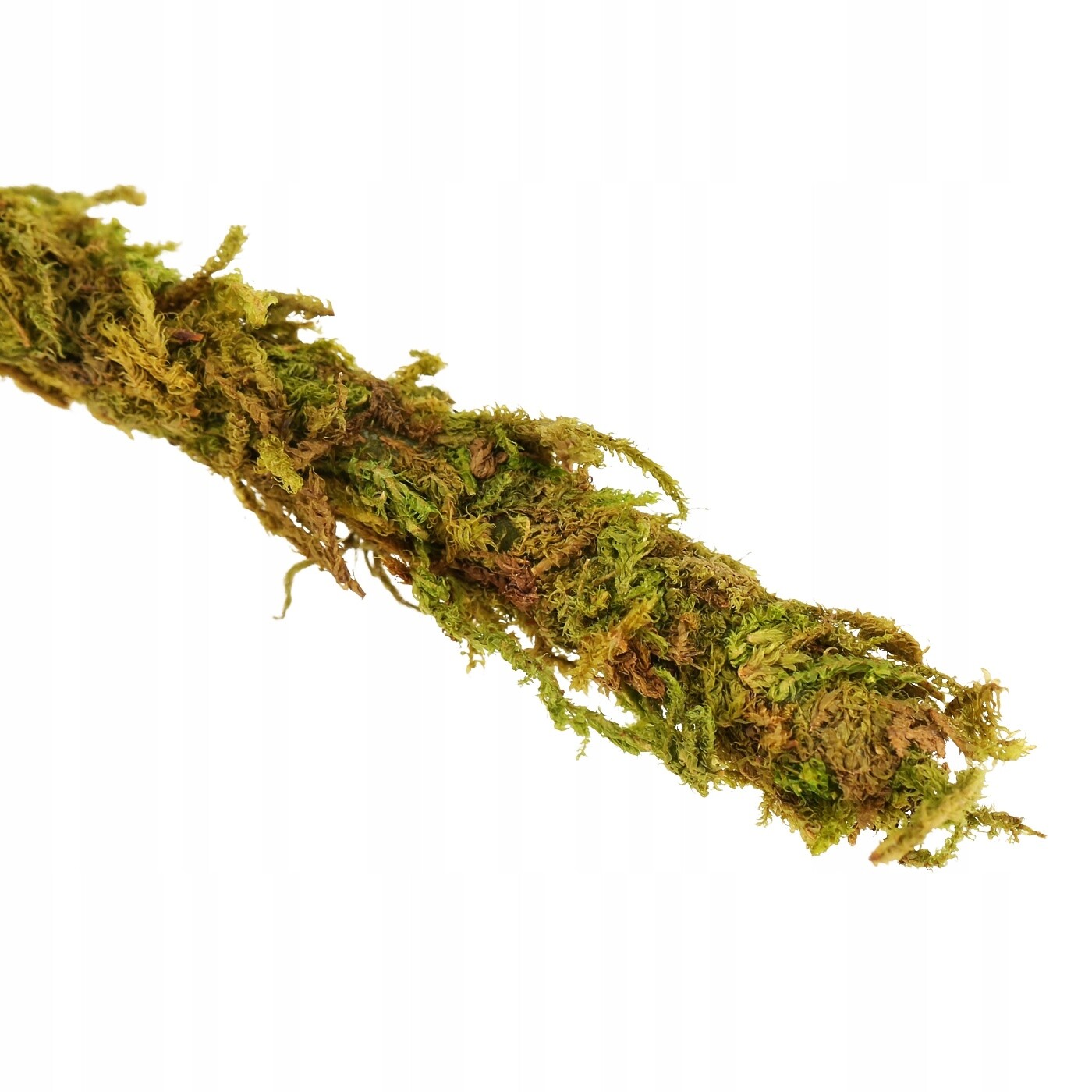 Liana S Přírodním Mechem Do Terária 2 M, Ohýbaná Ozdoba, Dekorace Plazů