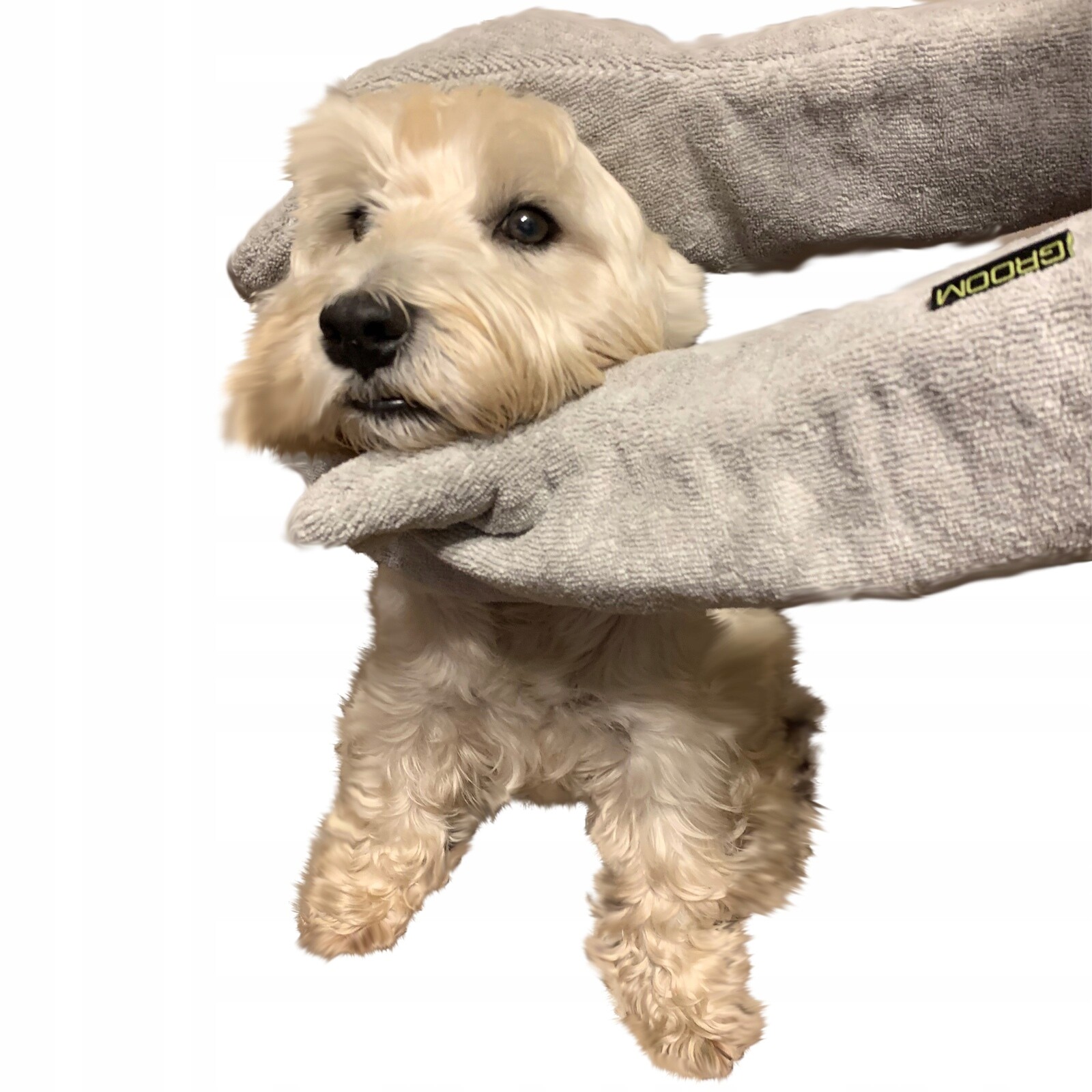 Rukavice Na Sušení Psa A Kočky, Ručník Z Mikrovlákna Na Utírání Srsti