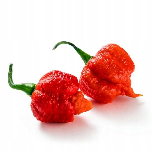 Carolina Reaper – Nejostřejší paprika na světě 500 g