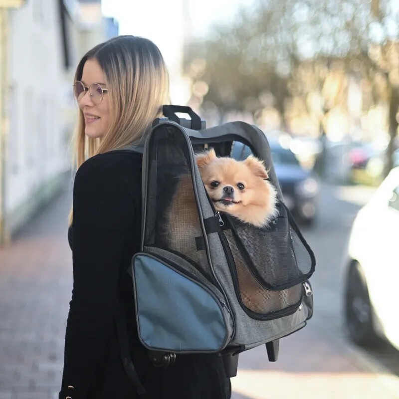 Přepravní taška pro psa Trolley Vacation