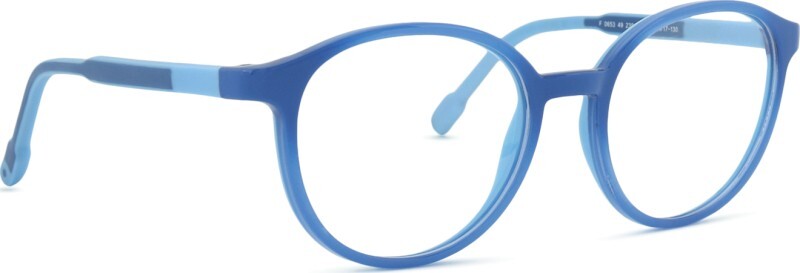 Active Clip on F 0653 49 239 000 F 49 (sluneční klip)