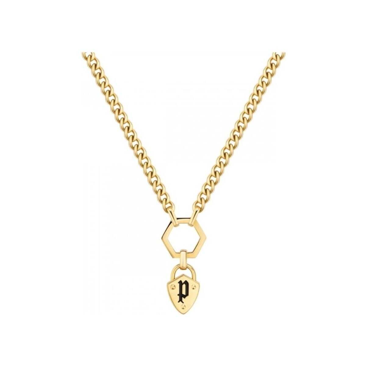 Police  pejln2009941  Zlatá