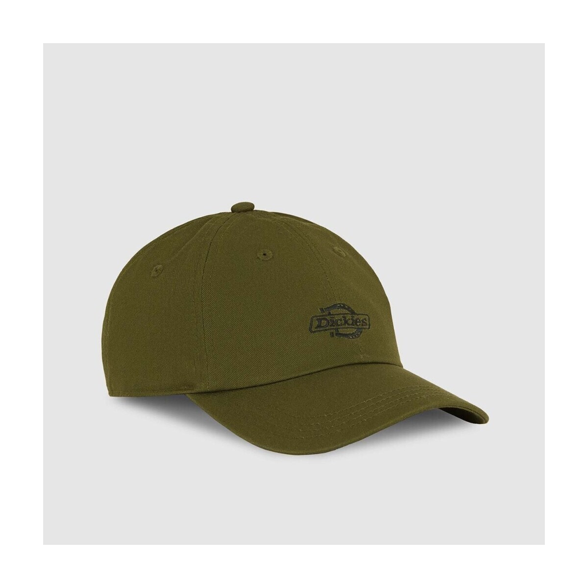 Dickies  DK0A4Z6NK721  Zelená