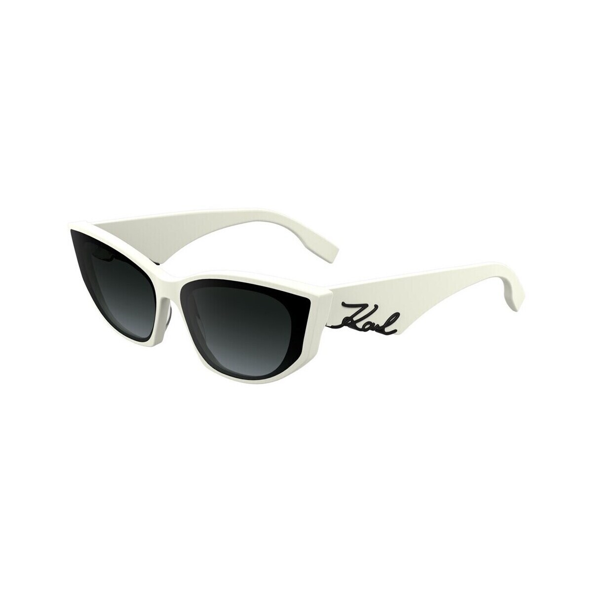 Karl Lagerfeld  kl6162s105  Černá