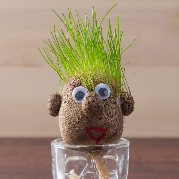 Hlava s rostoucími vlásky