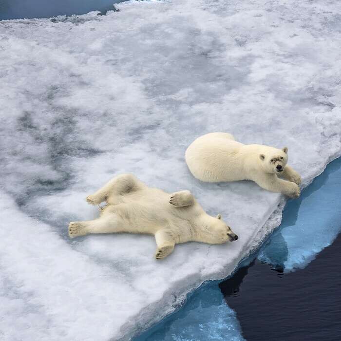 Jan Hvízdal: Práce expedičního fotografa okolo světa