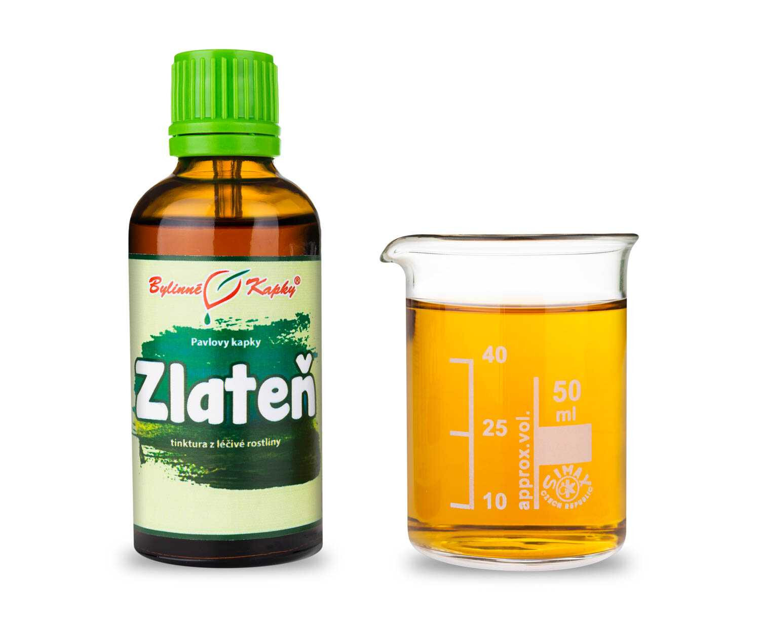 Zlateň indická (chryzantéma) tinktura TCM 50 ml | Pavlovy bylinné kapky