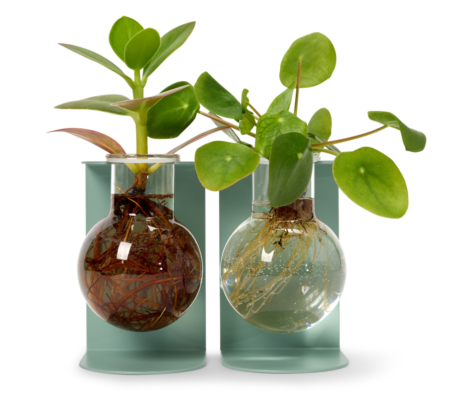 Tchibo - Stanice na odkládání a množení - barva: zelená