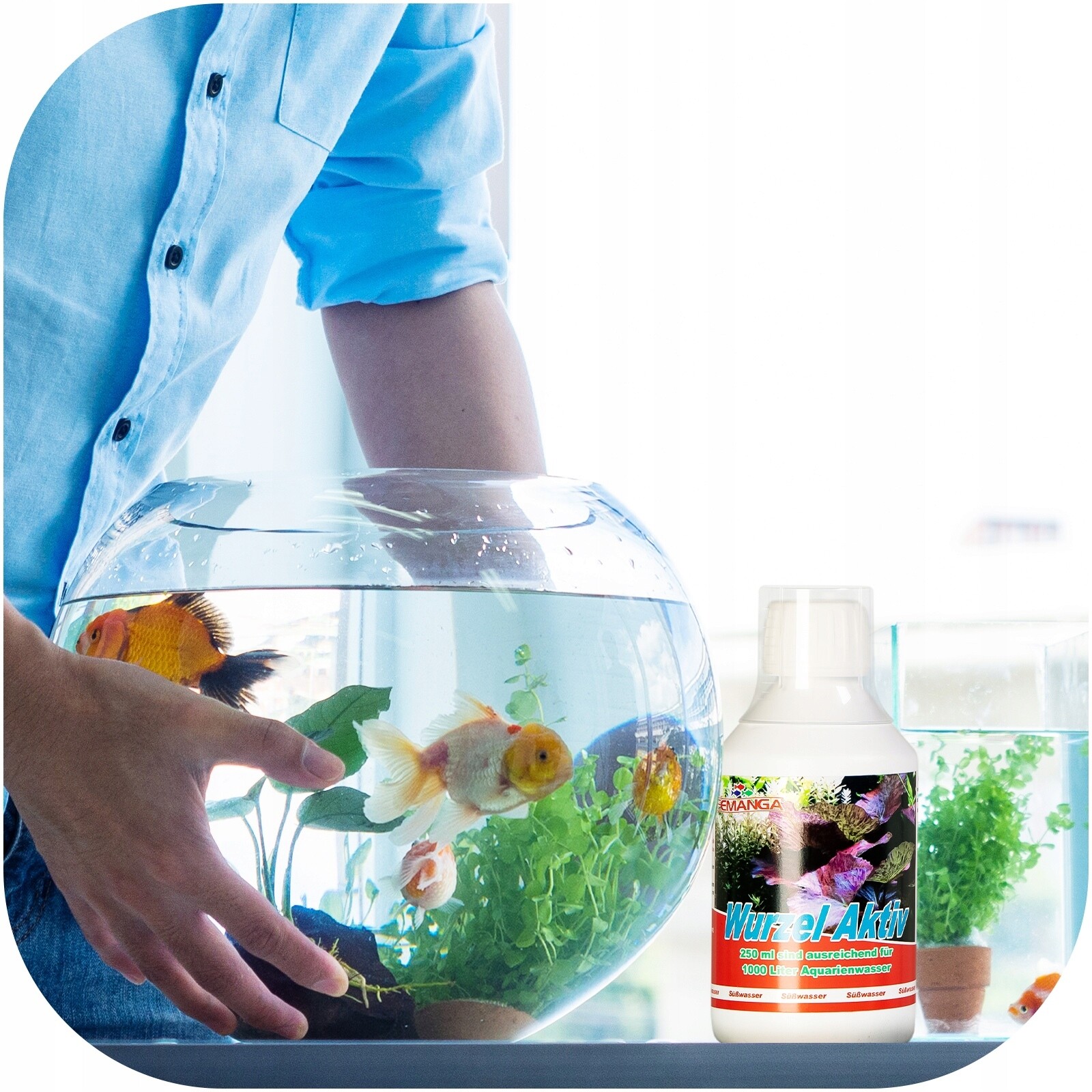 Přípravek Na Slimáky V Akváriu Femanga Wurzel Aktiv Bezpečný Pro Ryby