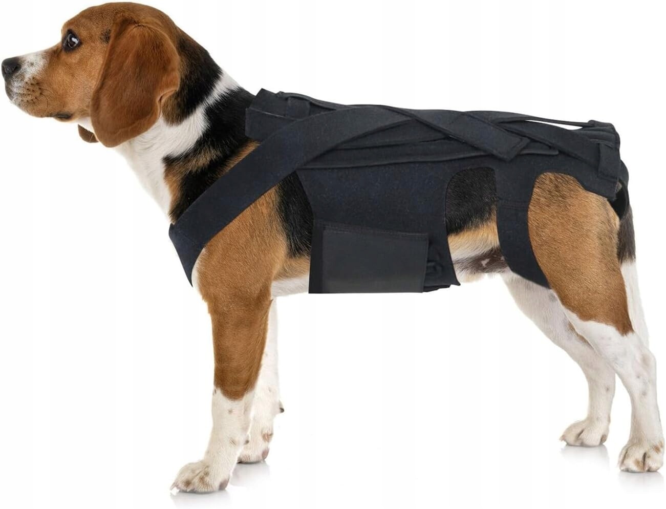 Ortéza na záda pro psa, rehabilitace páteře, kýla disku IVDD