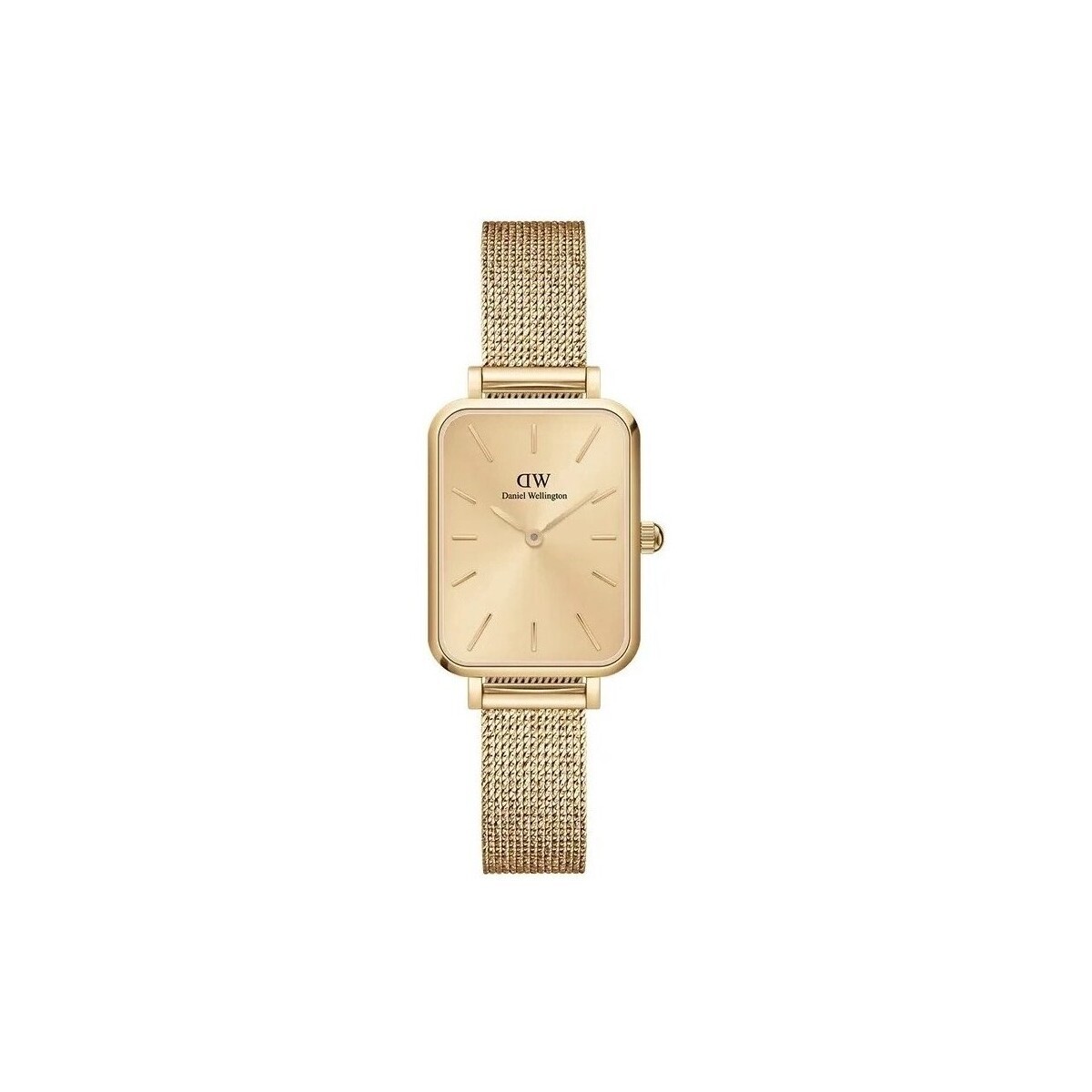 Daniel Wellington  ty263190  Zlatá