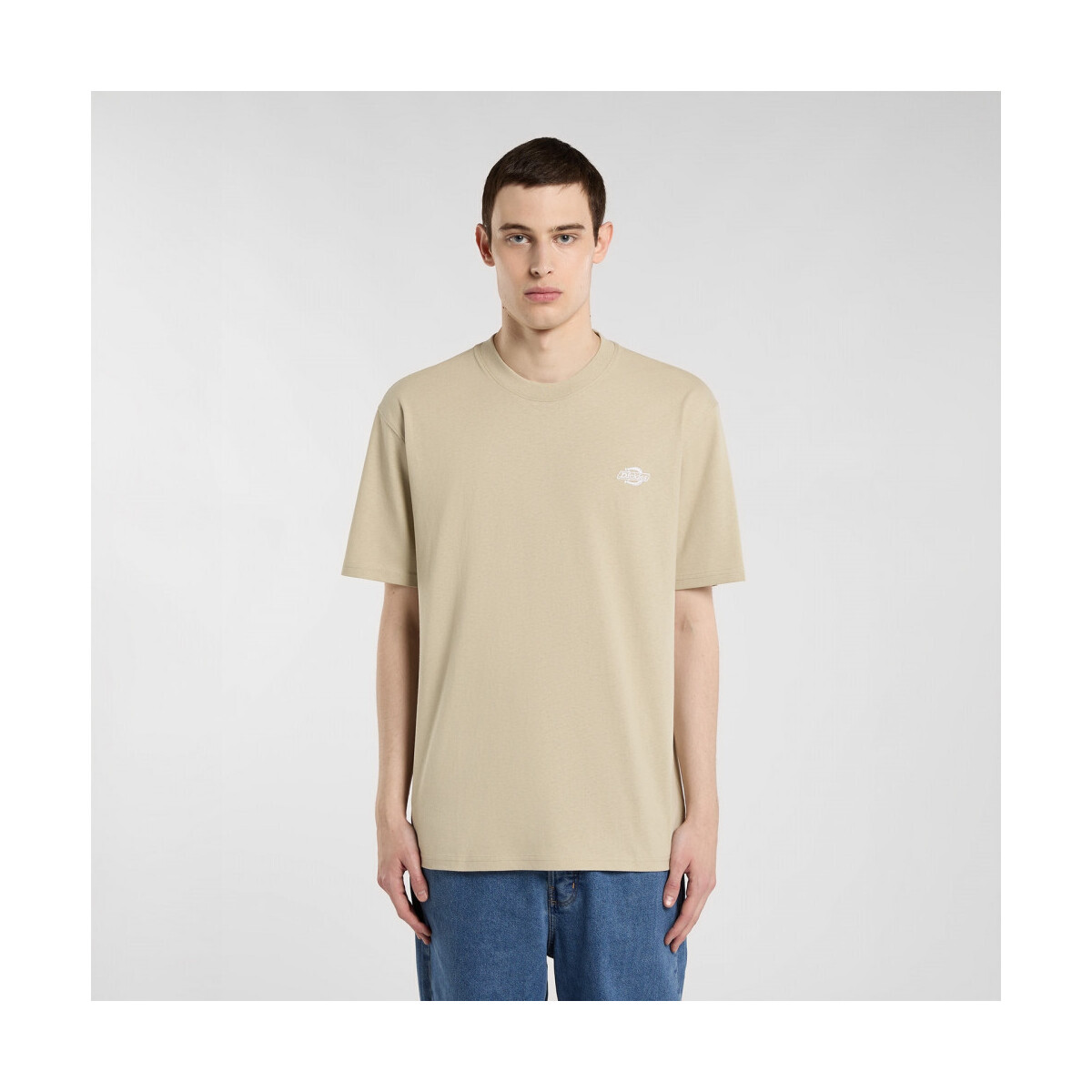 Dickies  Summerdale ss tee  Zelená