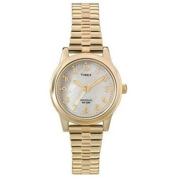 Timex  ty567910  Stříbrná