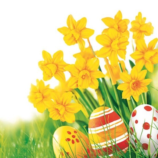 POL-MAK Velikonoční ubrousky Daisy L - Bunch of yellow Daffodils - SD_WL_011101