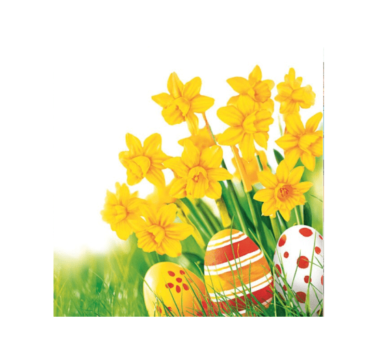 POL-MAK Velikonoční ubrousky Daisy C - Bunch of yellow Daffodils - CD_WL_011101