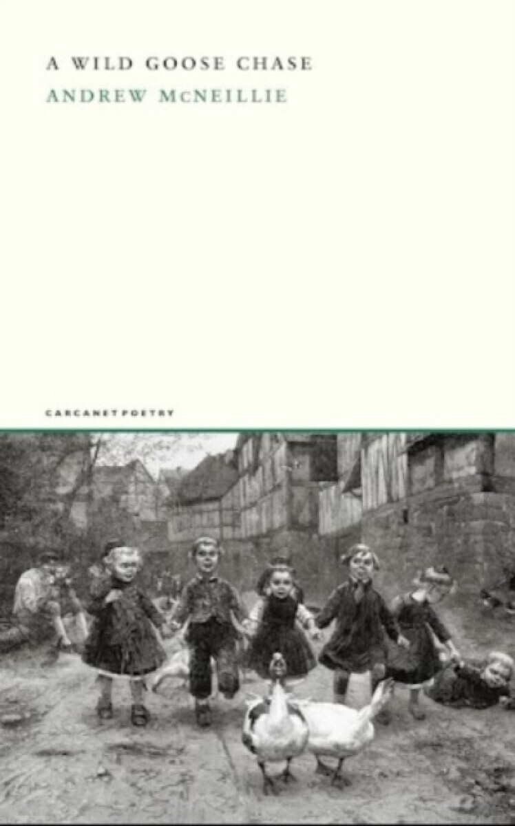 A Wild Goose Chase - Andrew McNeillie