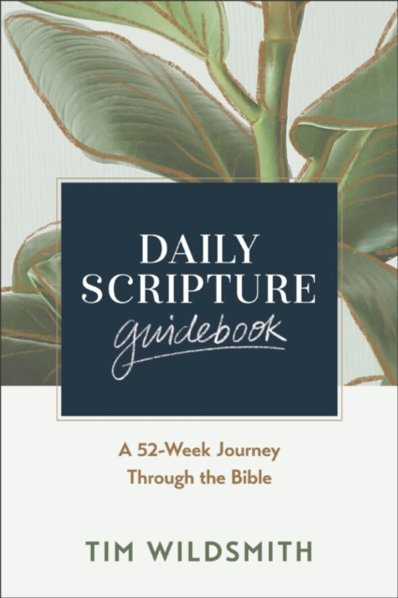 Daily Scripture Guidebook - Tim Wildsmith