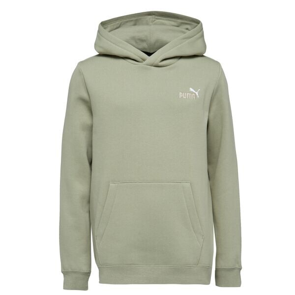 Puma ESSENTIALS 2 COL SMALL LOGO HOODIE FL B Chlapecká mikina, khaki, velikost