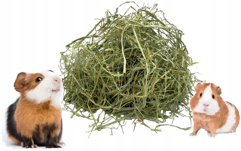 10 kg sena maďarského sena pro největší domácí morčata