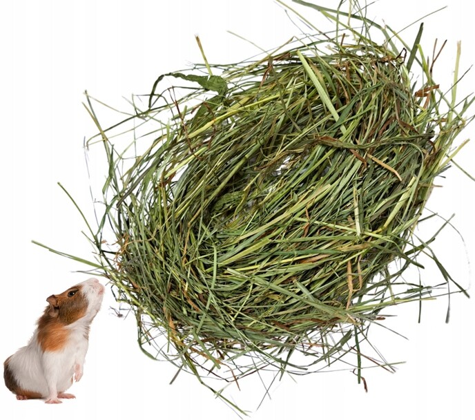 Přírodní krmivo 8 kg zelené seno maďarské pro morčata