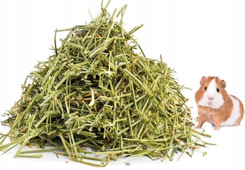 11 kg sena čerstvého sena pro mini morčata na světě, ekologické