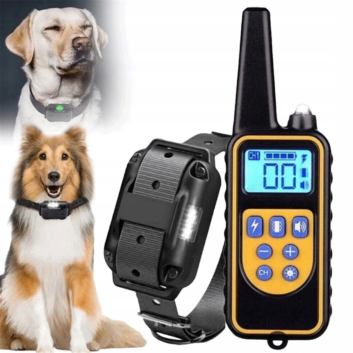 Výcvikový Obojek Pro Psy 800 M, Voděodolný, IP67, S Vibracemi