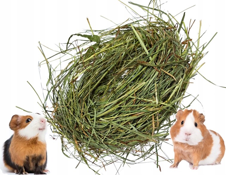 Seno pro těhotná morčata 7 kg nejlepší čerstvé pokosové seno eko