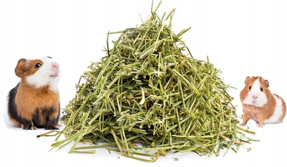 Seno od farmáře, letošní 11 kg sena pro nejhezčí prasátko, může krmivo