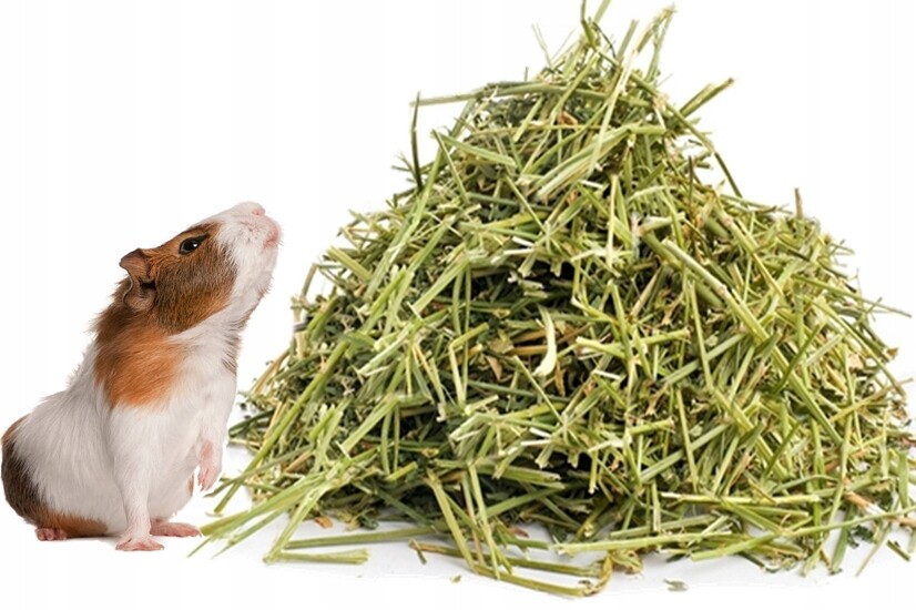 Čerstvé seno pro nejkrásnější prasátko, domácí chov, dobré krmivo 12 kg