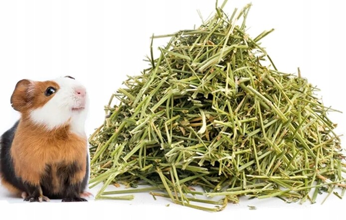 Podestýlka seno od farmáře 12 kg seno pro malá morčata chovaná pro hospodářské účely