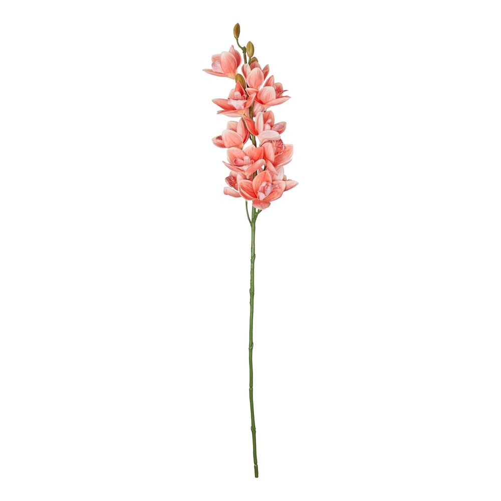 FLORISTA Gladiola 75 cm - oranžová