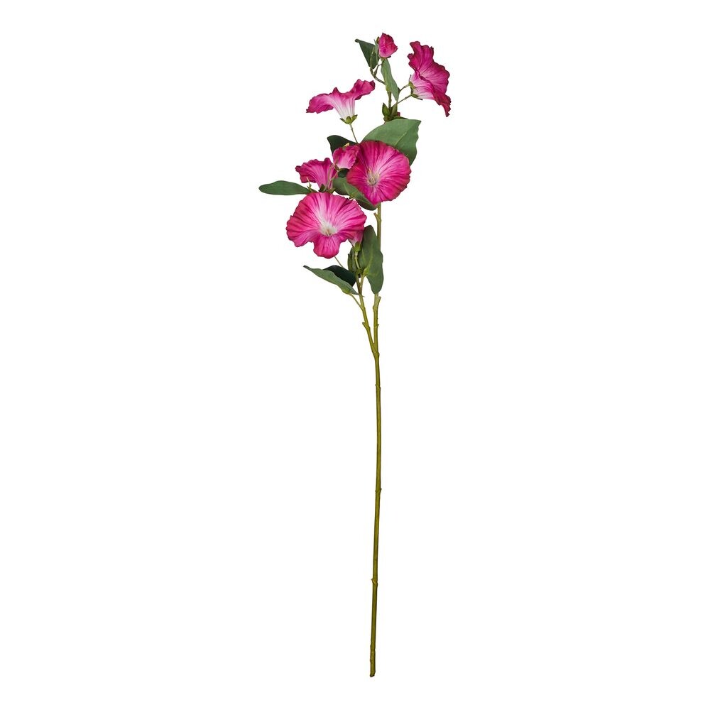FLORISTA Povíjnice 76 cm - vínová