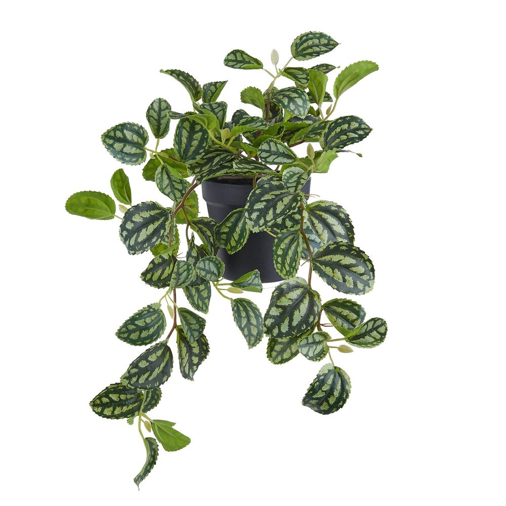 FLORISTA Umělá rostlina v květináči 44 cm