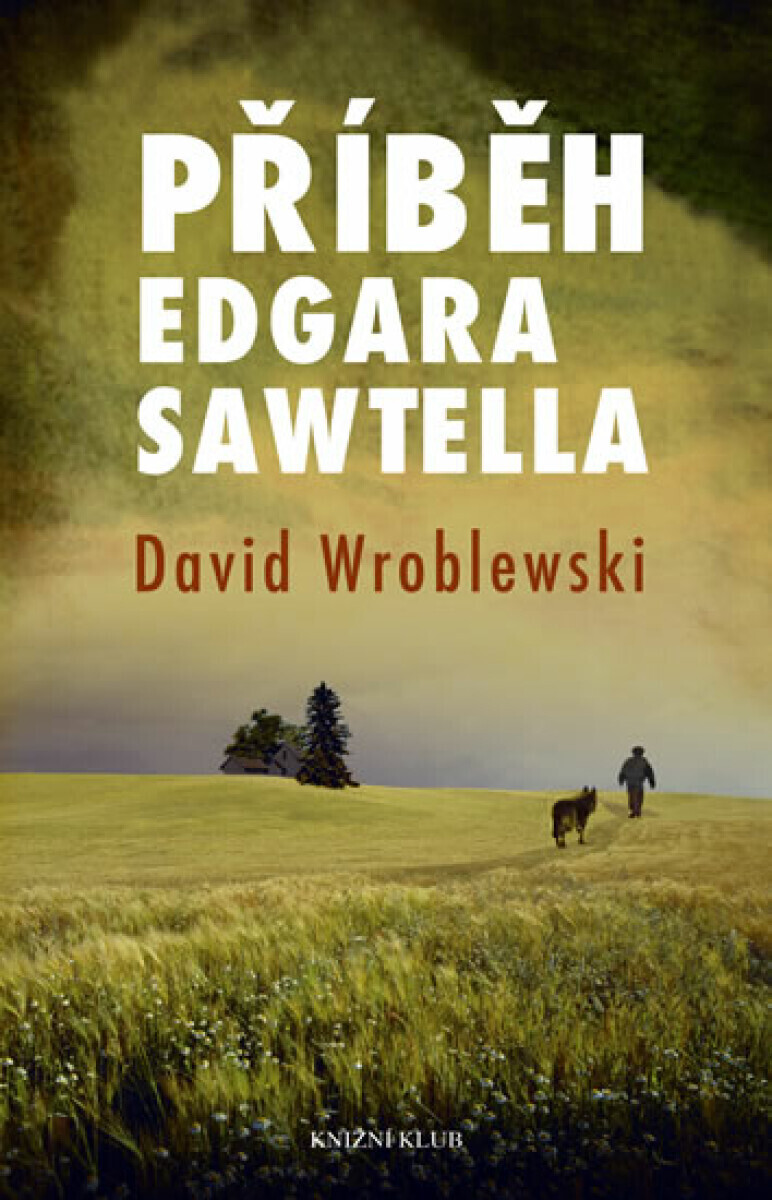 Příběh Edgara Sawtella (poškozená) - Wroblewski David