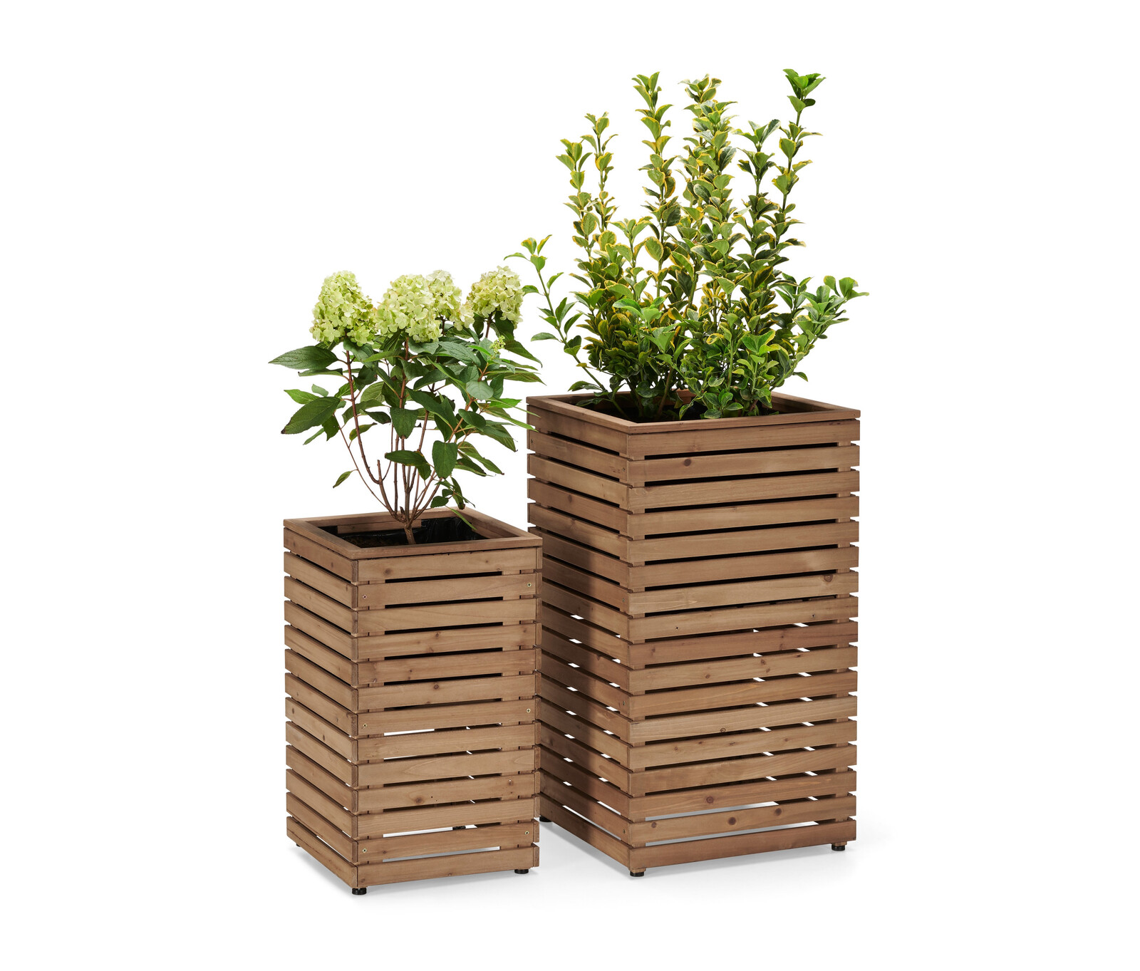 Tchibo - Truhlíky »Tinus« - barva: hnědá