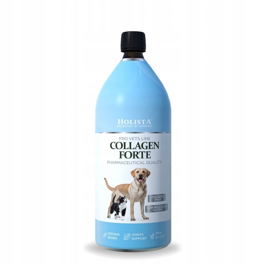 Holista Collagen Forte 1000 ml