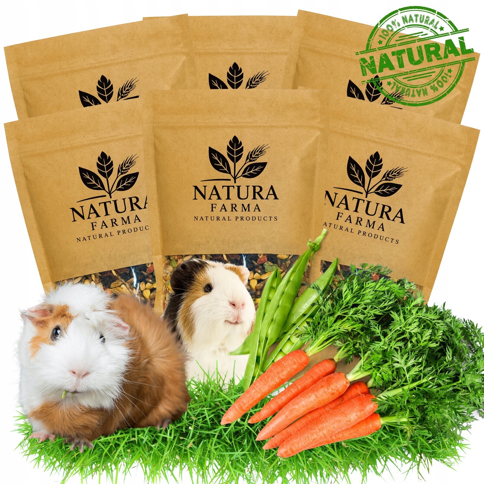 6 x Krmivo Přírodní Pro Morče Natura Farma Eco 500 G