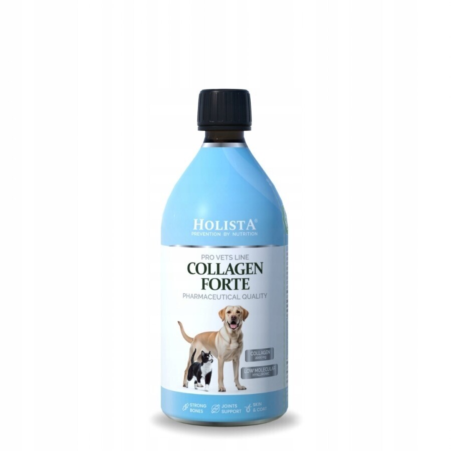Holista Collagen Forte 500 ml