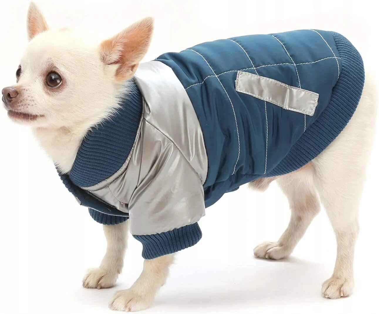 Podzimní zimní bunda pro psa Croci kubrak velikost Xs 25 cm