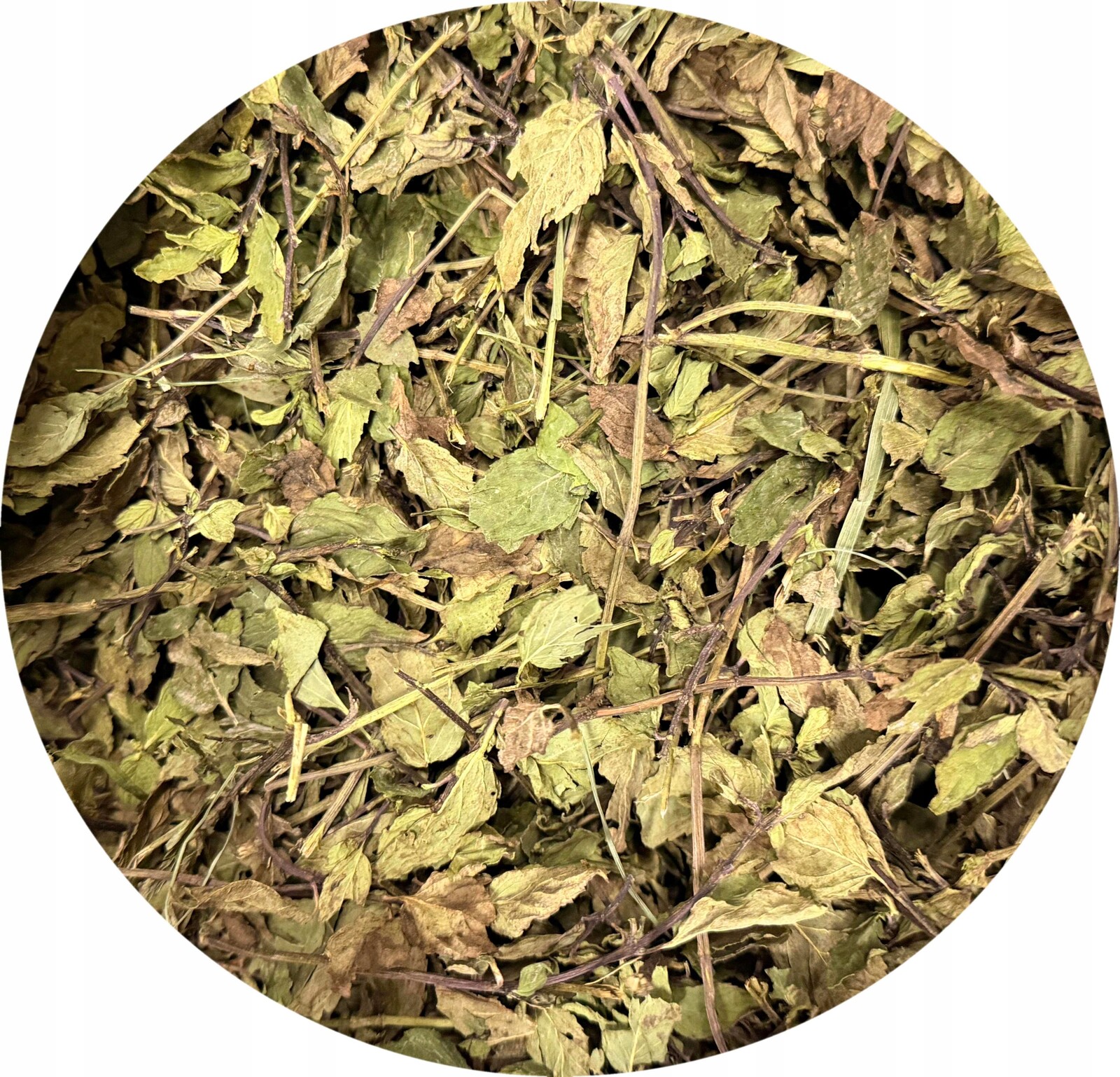 Máta peprná – bylina na krmivo – 8000 g 8 kg