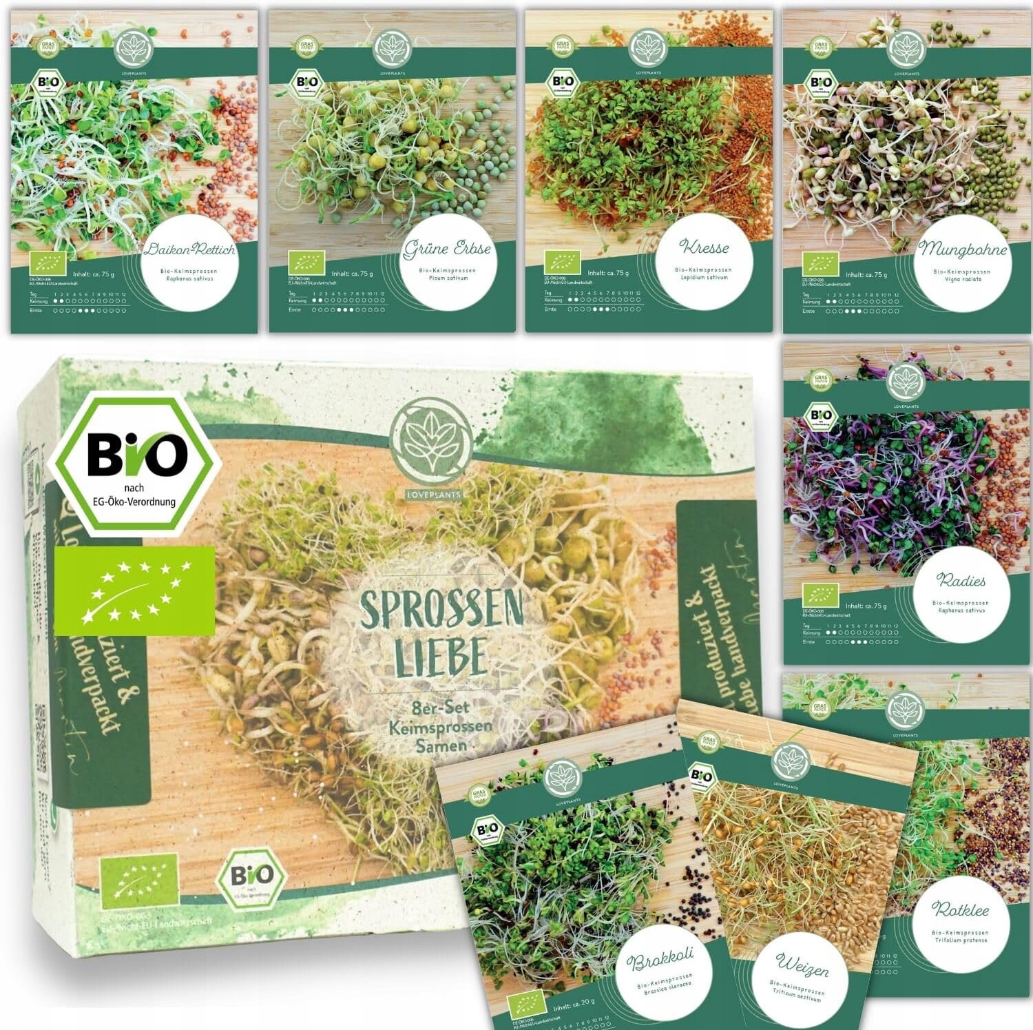 Bio Klíčky Semena Sada 8 odrůd pro sklenici nebo domácí tácek