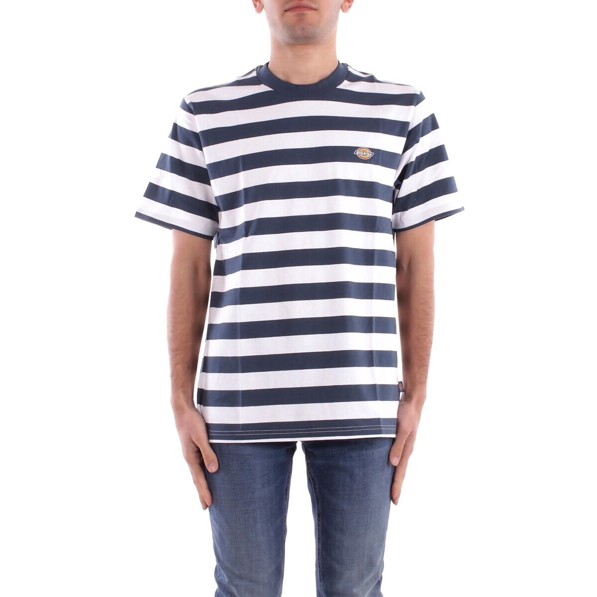 Dickies  DK0A4Y8Y  Modrá