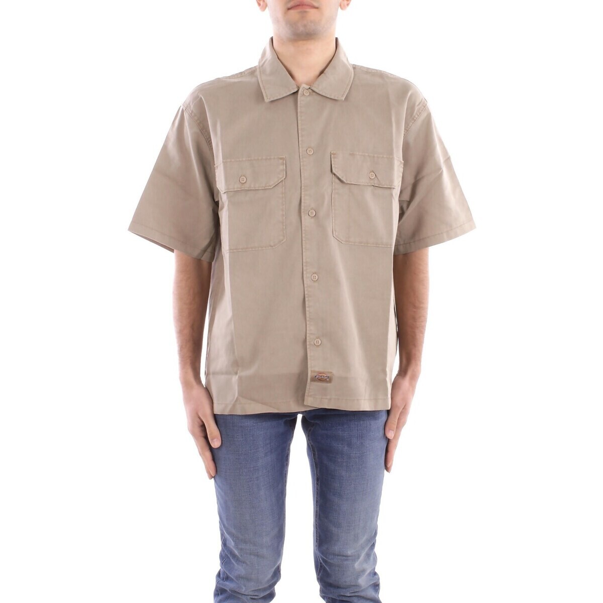 Dickies  DK0A4Z7Q  ruznobarevne